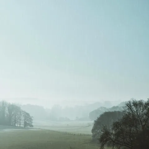 Cover art for English Country Rain & Wildlife by Chill Machine
